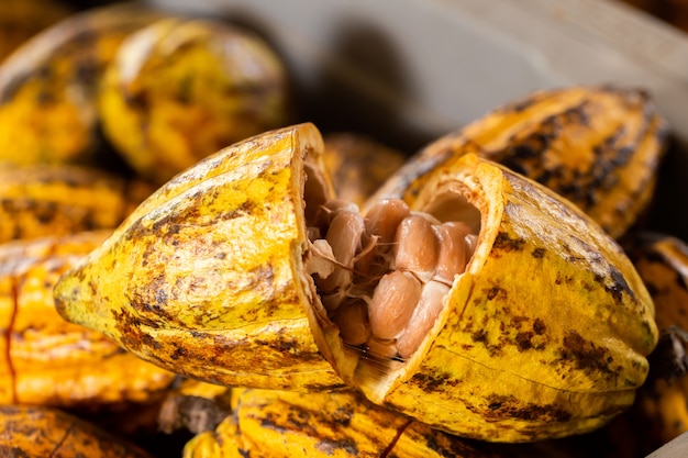 Baccelli di frutta biologici al cacao in natura.