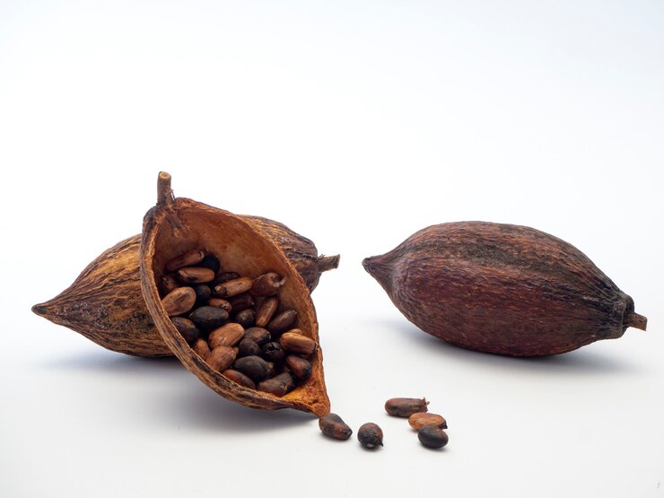Baccello di cacao, fagioli e su sfondo bianco