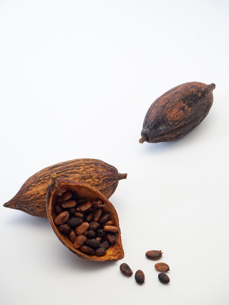 Baccello di cacao, fagioli e su sfondo bianco