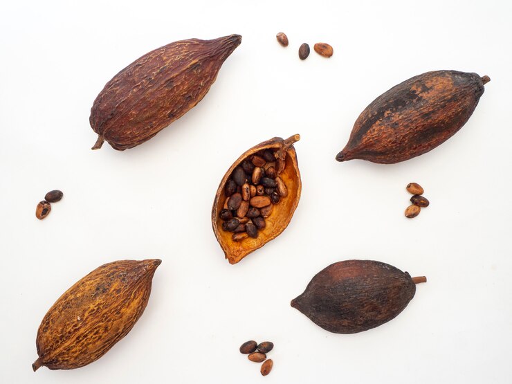 Baccello di cacao, fagioli e su sfondo bianco