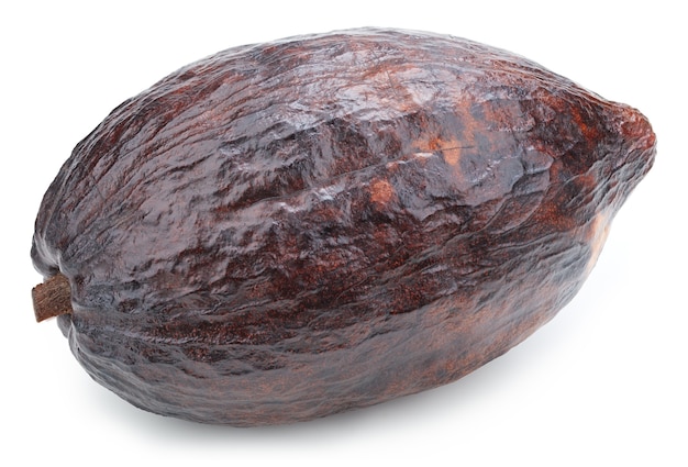 Baccello di frutti di cacao isolato su priorità bassa bianca. Baccello di cacao isolato.