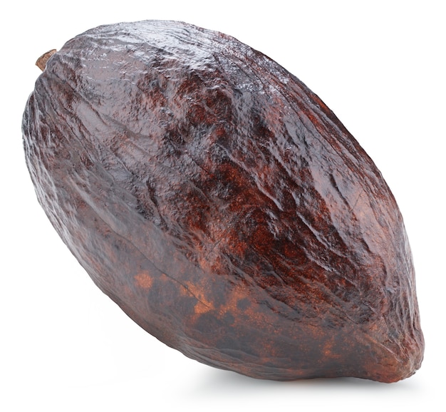 Baccello di frutti di cacao isolato su priorità bassa bianca. Baccello di cacao isolato.