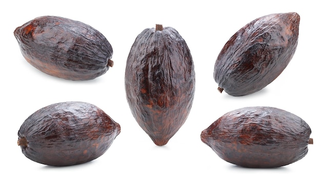 Baccello di frutti di cacao isolato su sfondo bianco. Percorso di ritaglio della raccolta del baccello dei frutti di cacao