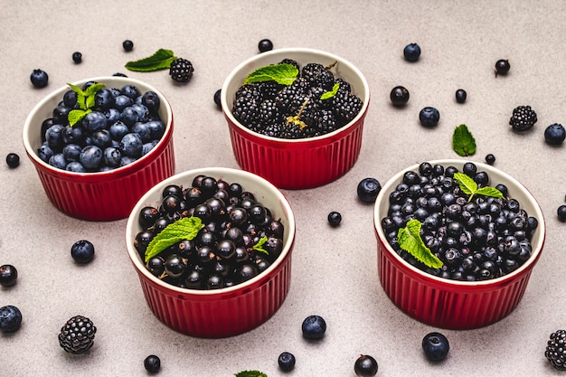 Bacche assortite nei colori blu e nero: mirtillo, mirtillo, ribes e mora. Sfondo di cemento di pietra