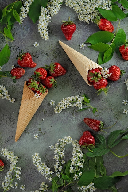 Bacche di fragole fresche in coni di cialda e fiori e rami di ciliegio degli uccelli.