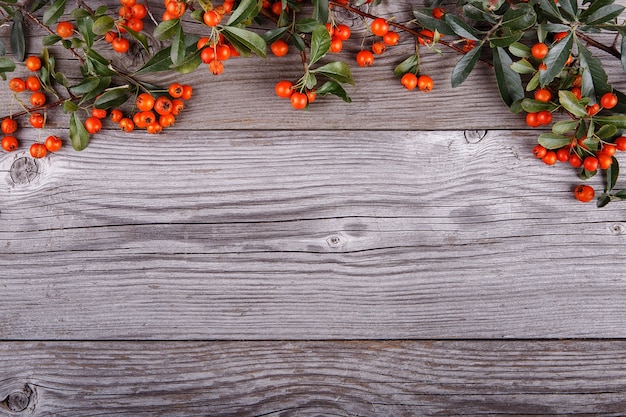 Bacche di Pyracantha arancioni sul vecchio bordo o tavola di struttura di legno