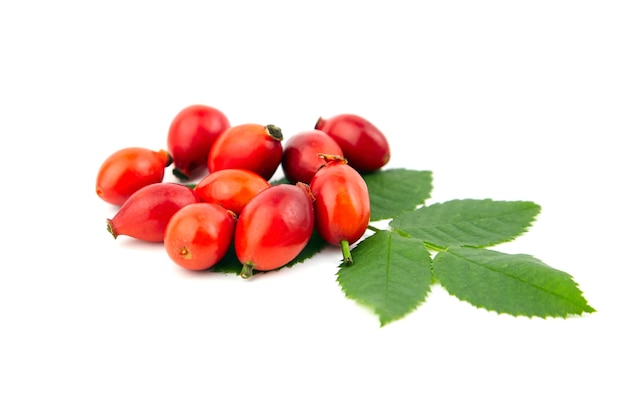 Bacche di radica di rosa canina con foglie verdi fresche isolate su sfondo bianco