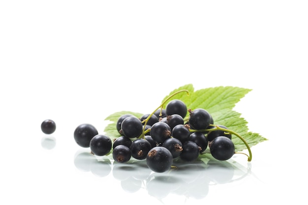 bacche di ribes nero mature con foglie isolate su sfondo bianco