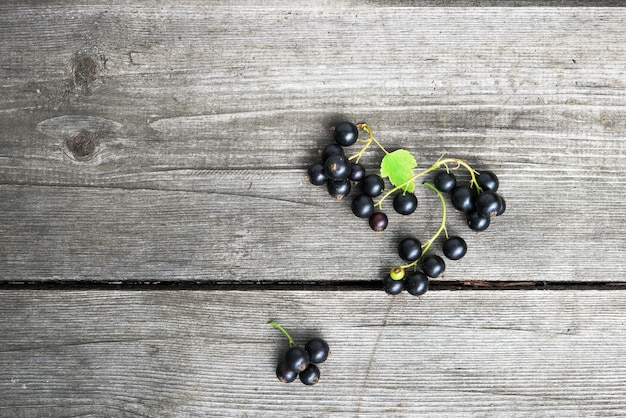 Bacche di ribes nero su assi di legno