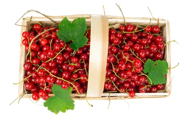 Bacche di ribes rosso in cesto di legno isolato su sfondo bianco