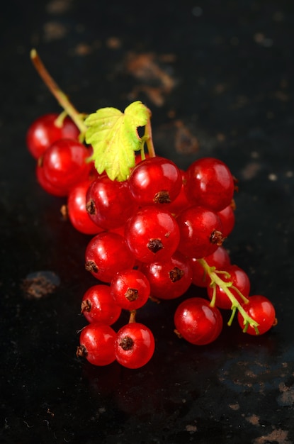 Bacche di ribes rosso