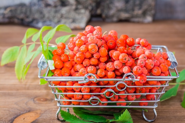 Bacche e foglie rosse della sorba in un canestro del metallo su una tavola di legno