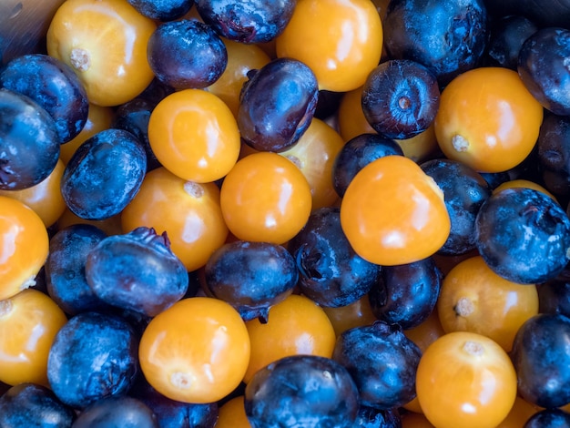 Bacche gialle e blu, mirtilli e physalis. Bacche assortite.