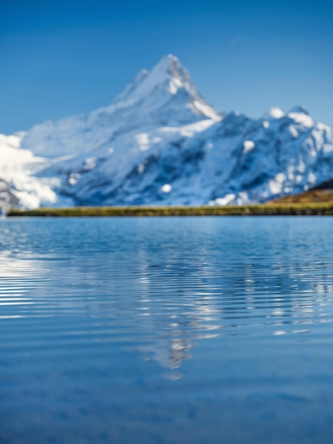 Bachalpsee Grindelwald Svizzera Alte montagne e riflessione sulla superficie del lago Paesaggio negli altopiani in estate