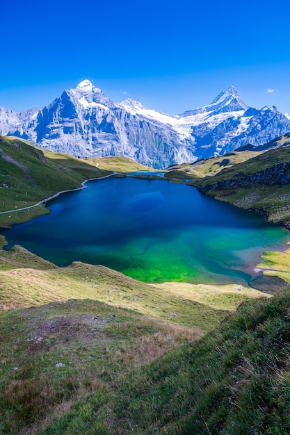 Bachalpsee nell'Oberland bernese