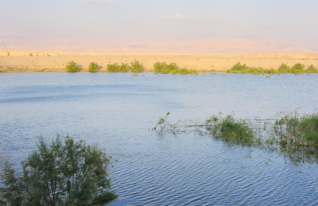 Bacino idrico nel deserto di Arava