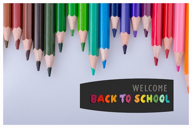 Back to School banner Istruzione e concetto di scuola