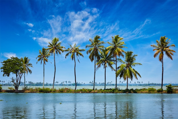 Backwaters del Kerala