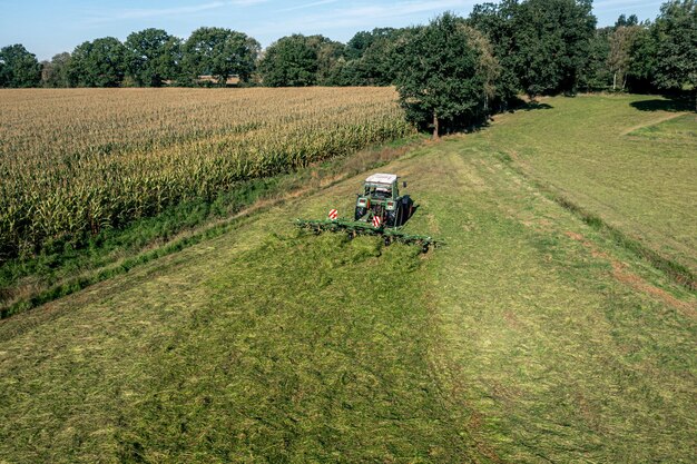 Bad Zwischenahn Germania 07092023 Raccolta ed essiccazione del fieno Lo spandierba trasforma l'erba appena tagliata Foto del drone