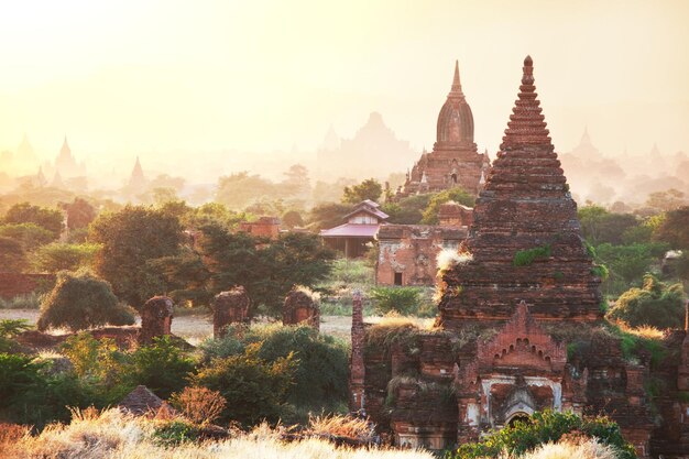 Bagan