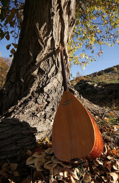 baglama saz Strumento musicale turco