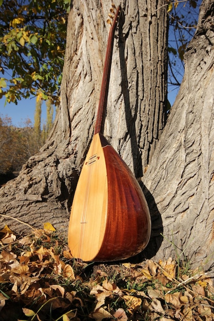 baglama saz Strumento musicale turco