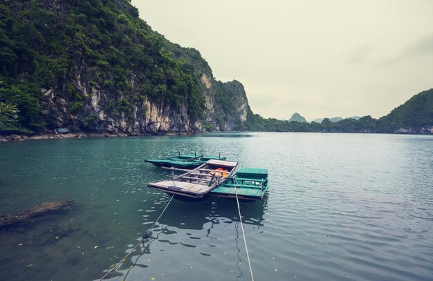 Baia di Halong, Vietnam