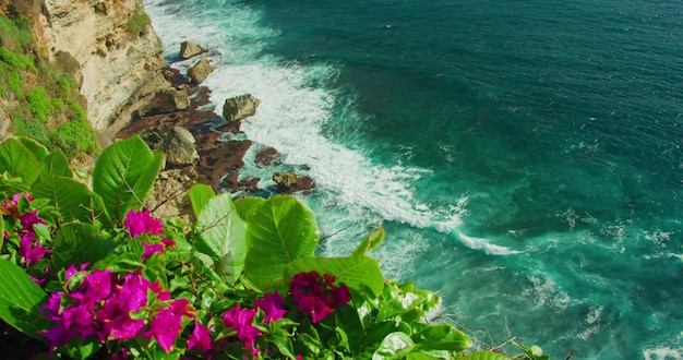 Baia di mare rocciosa con acqua blu trasparente in un giorno d'estate soleggiato e fiori rosa brillante in primo piano Le onde dell'oceano si schiantano sulle rocce calcaree Fotografia statica in primo piano Nessuno Natura e paesaggio