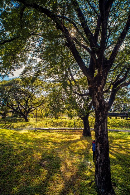 Bajakitti Forest Park New Forest Park a Bangkok Bangkok in Thailandia