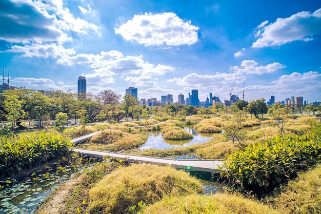 Bajakitti Forest Park New Forest Park a Bangkok Bangkok in Thailandia