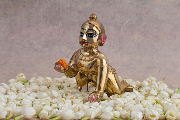 Bal Krishna Laddu Gopal statua in ottone di fronte a sfondo bianco