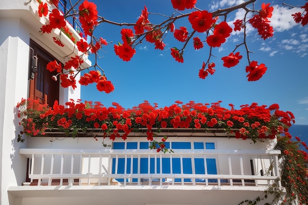 Balcone bianco con fiori rossi contro il cielo azzurro brillante puerto de la cruz tenerife spagna