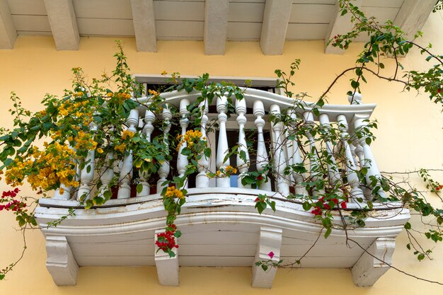 Balcone in legno bianco con fiori