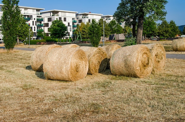 Bale di fieno in un paesaggio urbano