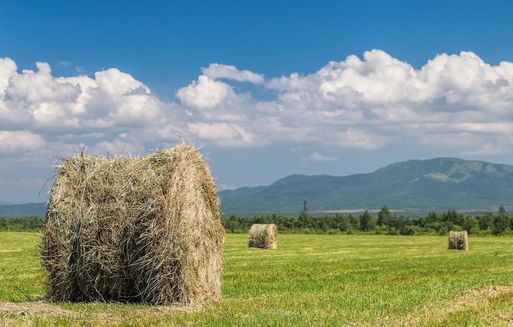 Foto bale di fieno sul campo contro il cielo