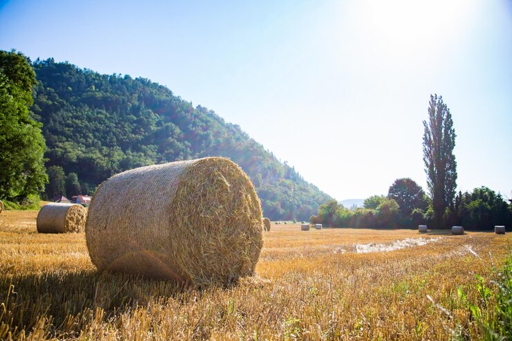 Foto bale di fieno sul campo contro il cielo