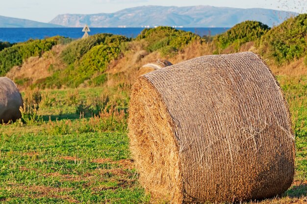 Balla di cappello su un campo al tramonto