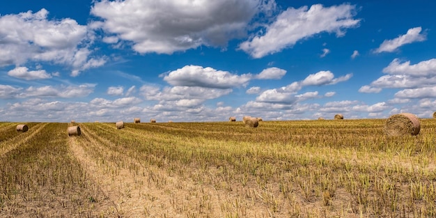 Balle di fieno sotto il cielo nuvoloso sul campo di grano raccolto