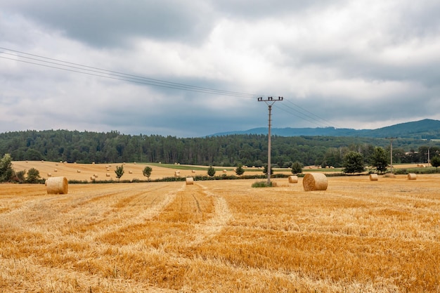 Balle di paglia secca nel campo dopo il raccolto