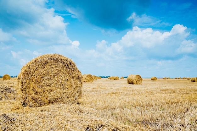 Balle di paglia su terreno coltivabile con cielo nuvoloso blu