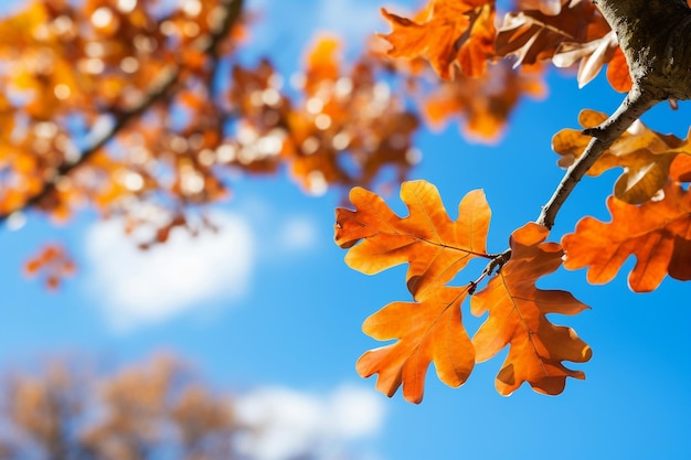 Balletto aereo di foglie di quercia che svettano nel cielo azzurro con l'intelligenza artificiale generativa