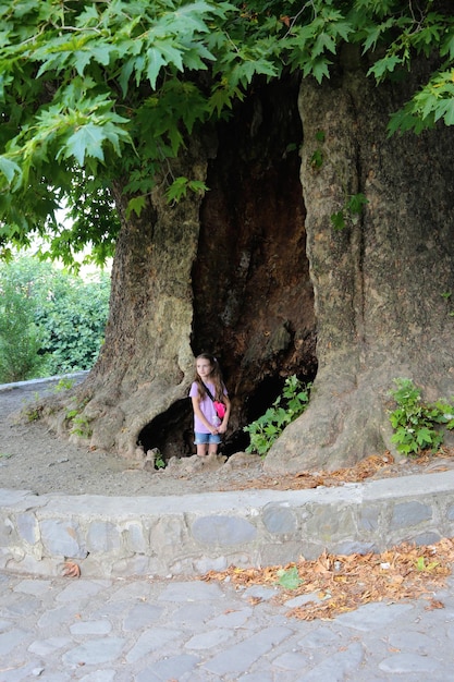 bambina accanto all'antico sicomoro Telavi Georgia