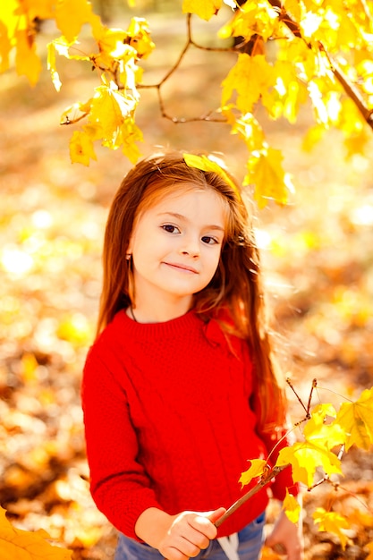 Bambina adorabile che gioca con le foglie di autunno