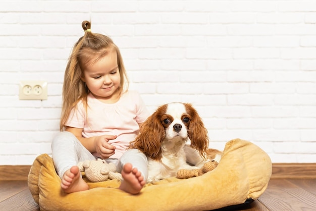 Bambina adorabile con il cucciolo che gioca a casa Bambino con cagnolino al coperto. L'animale domestico migliore e più amichevole per bambini e famiglie, amore per gli animali domestici, amore per i cani, rapporto speciale con l'animale domestico