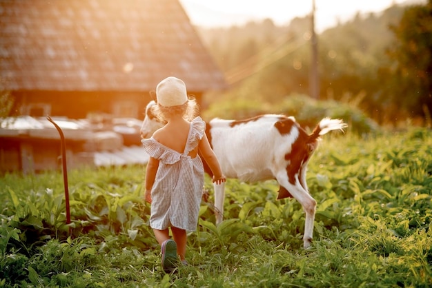 Bambina che alimenta le capre nella fattoria Concetto di agriturismo La vita in campagna