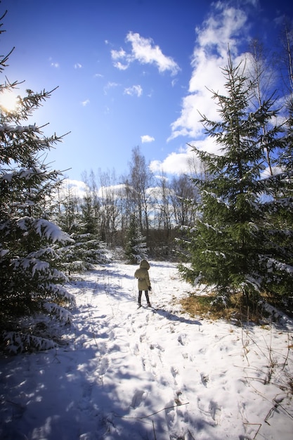 Bambina che cammina nella foresta invernale innevata con i grandi abeti rossi. Bambino che esplora la natura selvaggia.