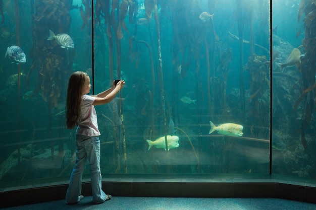 Bambina che esamina il serbatoio di pesce