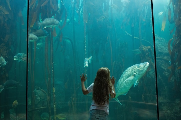 Bambina che esamina il serbatoio di pesce