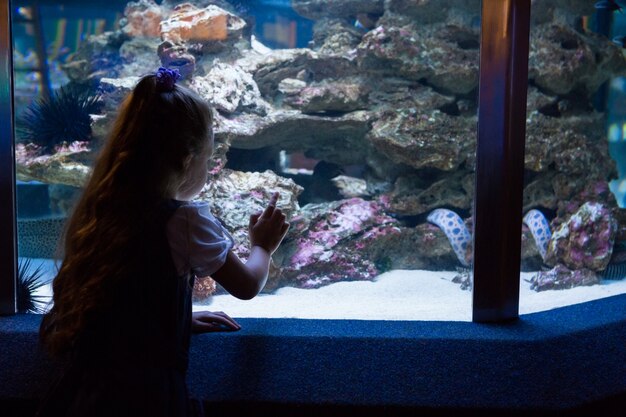 Bambina che esamina il serbatoio di pesce