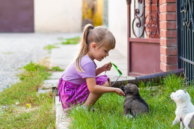 Bambina che gioca con i cuccioli su erba verde